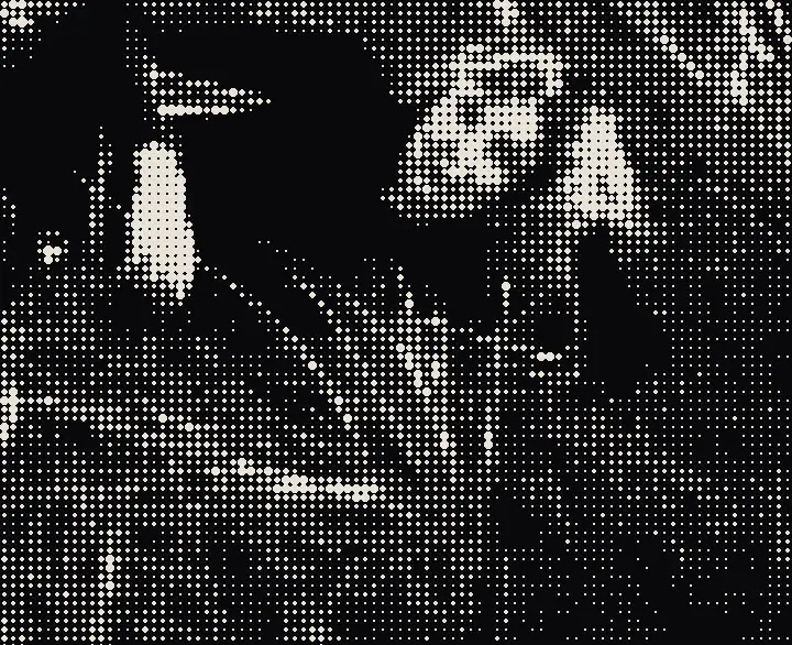 The portrait in the grass redrawn as a cream halftone on black