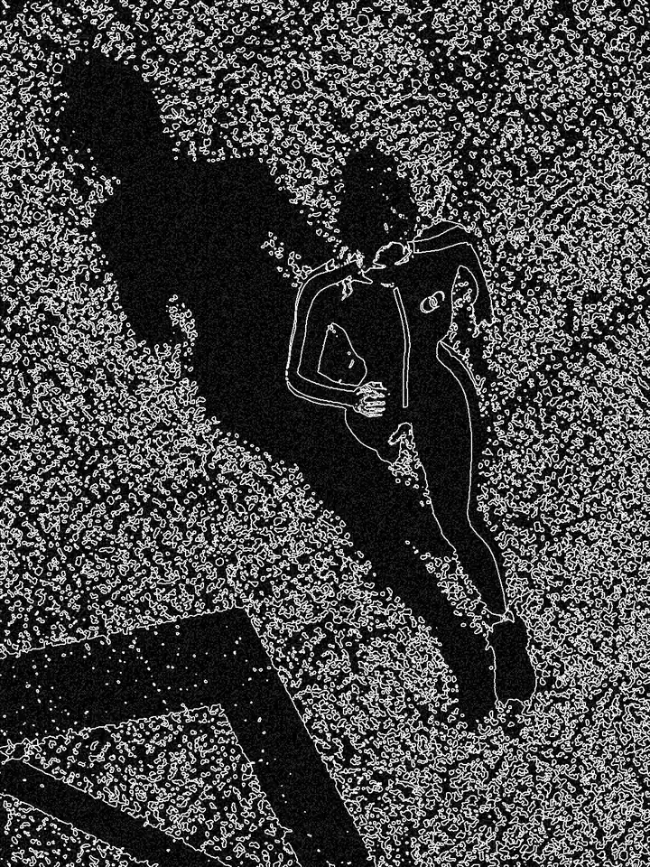 The seated portrait as white contour lines on black