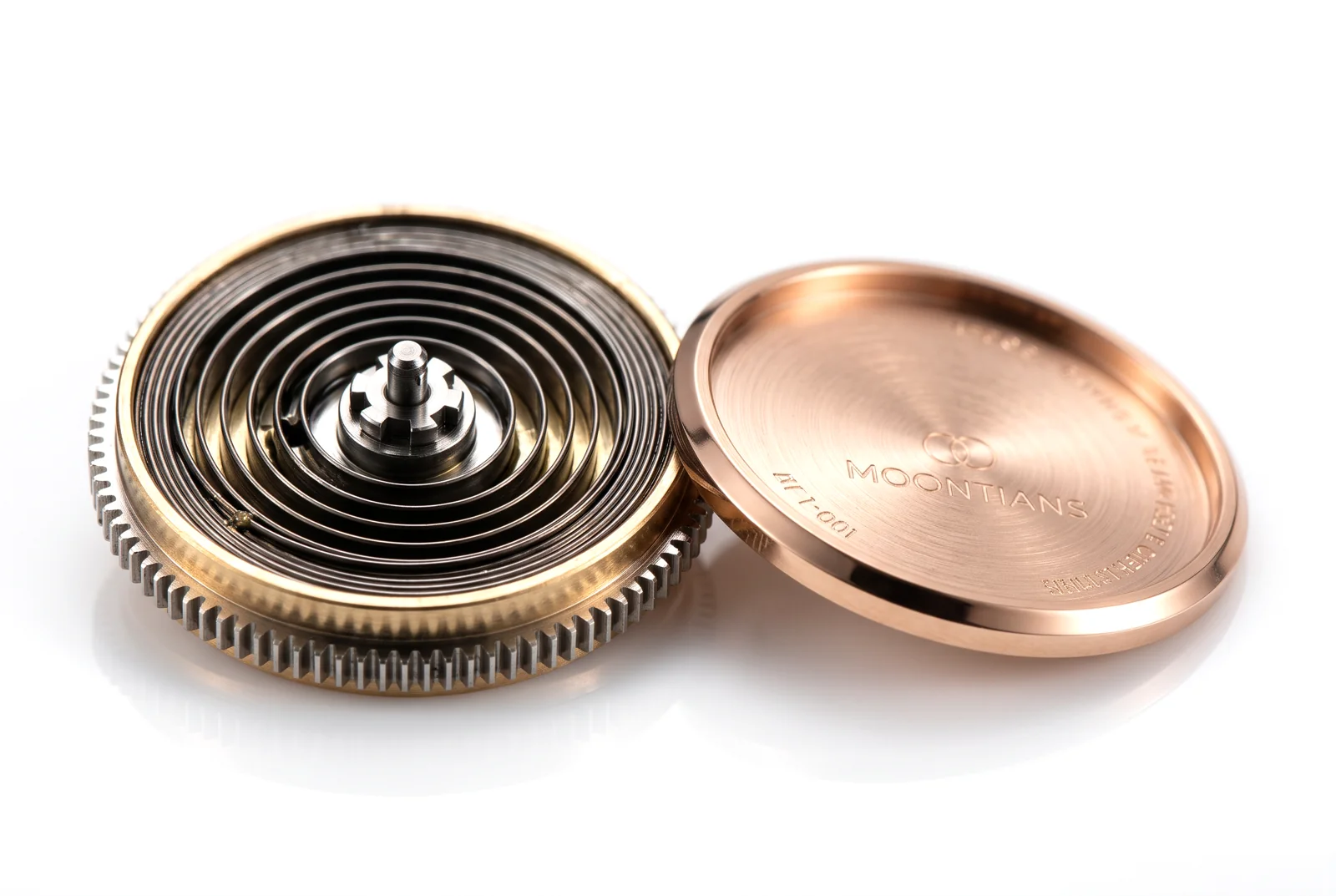 Mainspring barrel: Engraved MOONTIANS cover.
